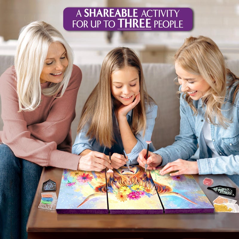 ArtSkills Diamond Painting Kit, Diamond Art Ready to Hang Framed Canvas with Storage and Accessory Kit, Highland Cow, 3 Stretched Canvas Panels, 14â€ x 7â€ Each - Image 4