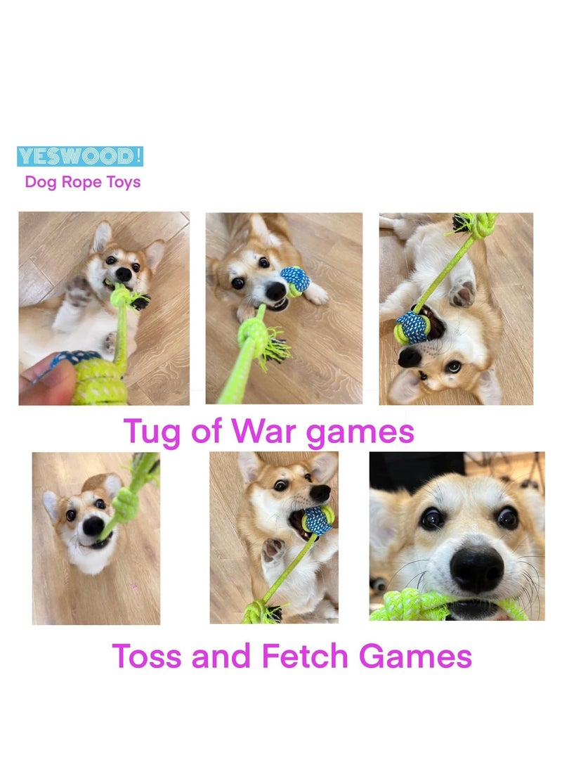 Tug of War Dog Toy Small Breed,Dog Ball with Rope,Rope with Ball Attached for Small and Medium Dogs, Ball On Rope Dog Toy,Rope Ball Dog Toy,Puppy Interactive Gift - Image 4
