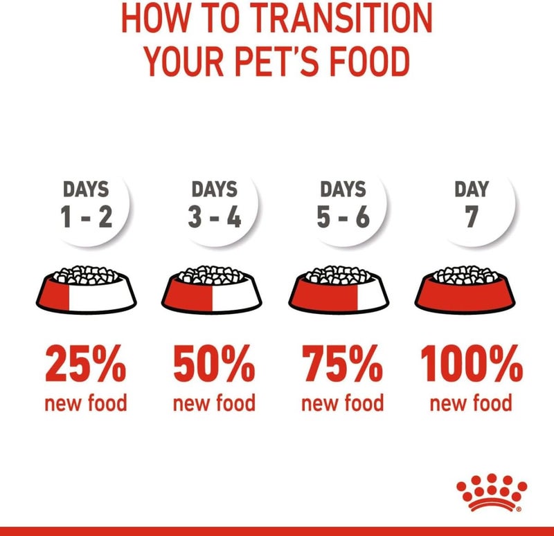 ROYAL CANIN رويال كانين للتغذية الصحية للقطط الأم والقطط الصغيرة 4 كجم - Image 4