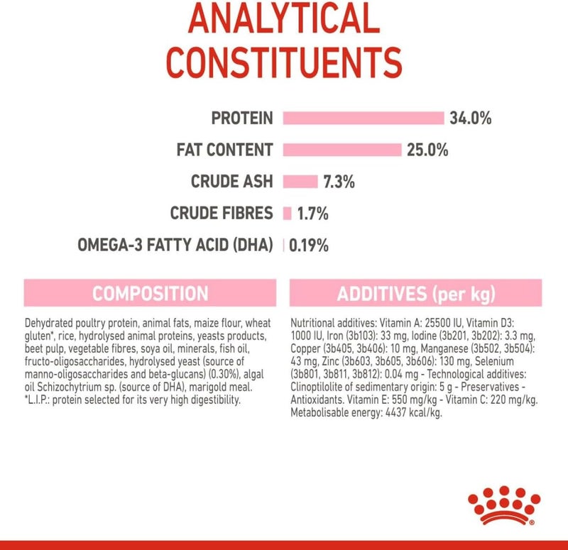 ROYAL CANIN رويال كانين للتغذية الصحية للقطط الأم والقطط الصغيرة 4 كجم - Image 3