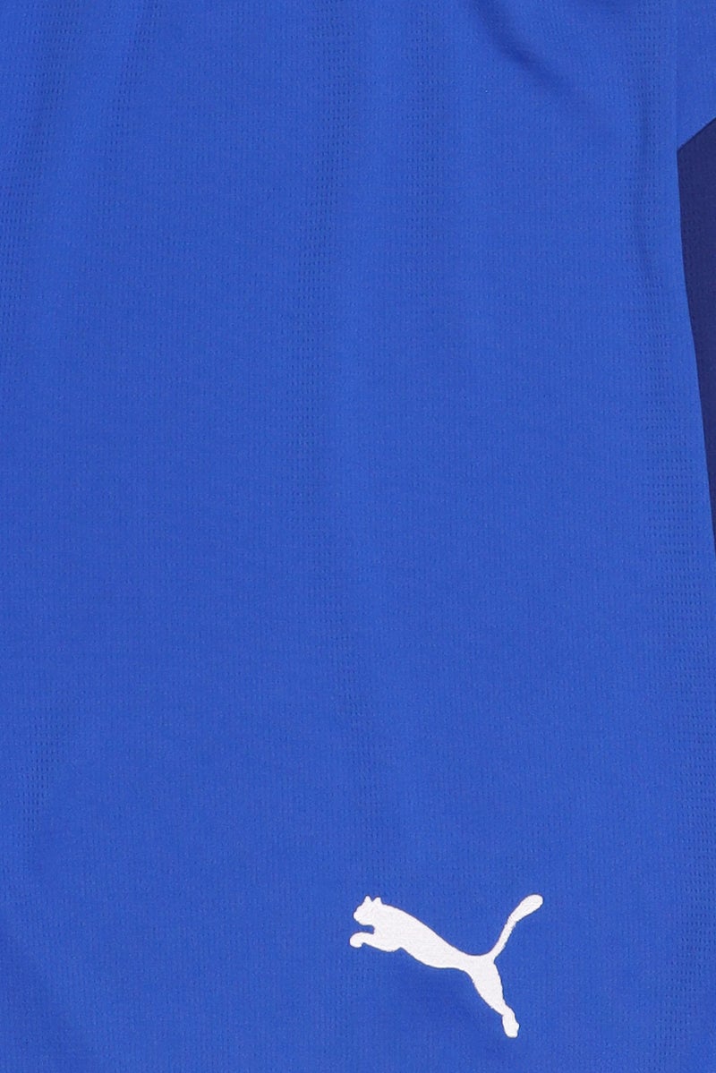 PUMA Men Sportswear Fit Al Hilal Football Shorts, Blue - Image 5
