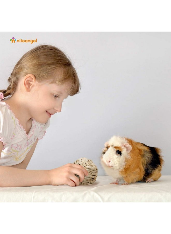 Niteangel - Niteangel Natural Chew Activity Toys Fun Safe Hay Grass Pet Balls for Chinchilla Guinea Pig Rats Rabbits Hamster Gerbil Degu Bunny and Other Small Animals - Image 1