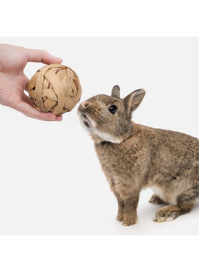 Niteangel - Niteangel Natural Chew Activity Toys Fun Safe Hay Grass Pet Balls for Chinchilla Guinea Pig Rats Rabbits Hamster Gerbil Degu Bunny and Other Small Animals - Image 1