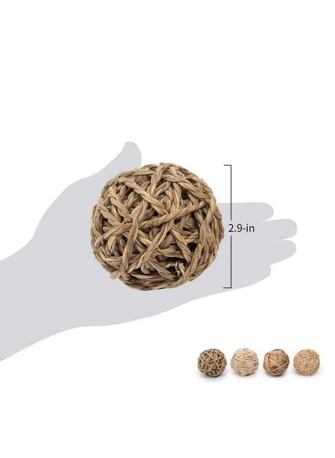 Niteangel - Niteangel Natural Chew Activity Toys Fun Safe Hay Grass Pet Balls for Chinchilla Guinea Pig Rats Rabbits Hamster Gerbil Degu Bunny and Other Small Animals - Image 1
