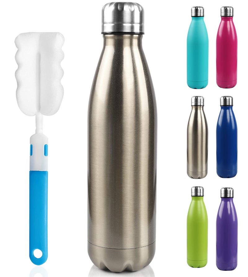 BOGI 17oz Insulated Water Bottle Double Wall Vacuum Stainless Steel Water Bottles  Leak Proof Metal Sports Water Bottle Keeps Drink Hot and Cold - Perfect for Outdoor Sports Camping Biking (Cham)