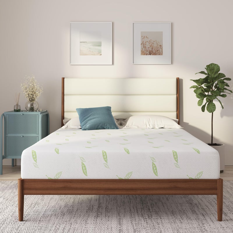 NapQueen Twin XL Size 10 Inch Anula Green Tea Infused Memory Foam Mattress Bed in a Box CertiPURUS Certified Mattress