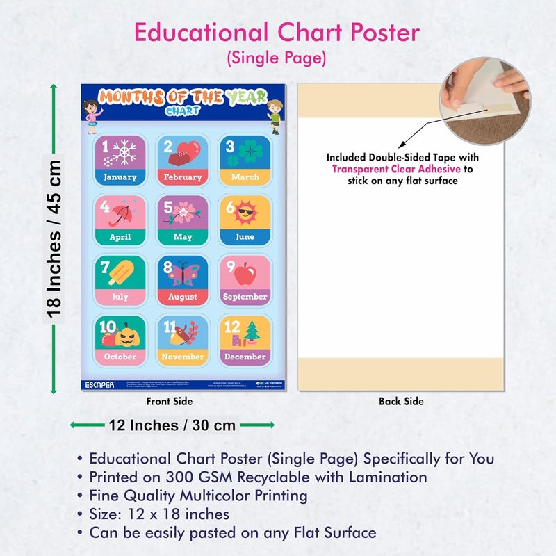 ESCAPER Months of the Year Educational Charts for Kids, Charts for Kids Learning (11.5 x 17.5 inches), Kids Study Material, Kids Learning Books, Educational Posters - Image 3