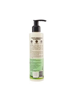 PILGRIM Spanish Rosemary & Biotin Anti Hairfall Shampoo For Reducing Hair Loss & Breakage 200Ml | Rosemary Shampoo For Hair Growth | Upto 95% Stronger Hairs | For All Hair Types | For Men & Women  - Image 2