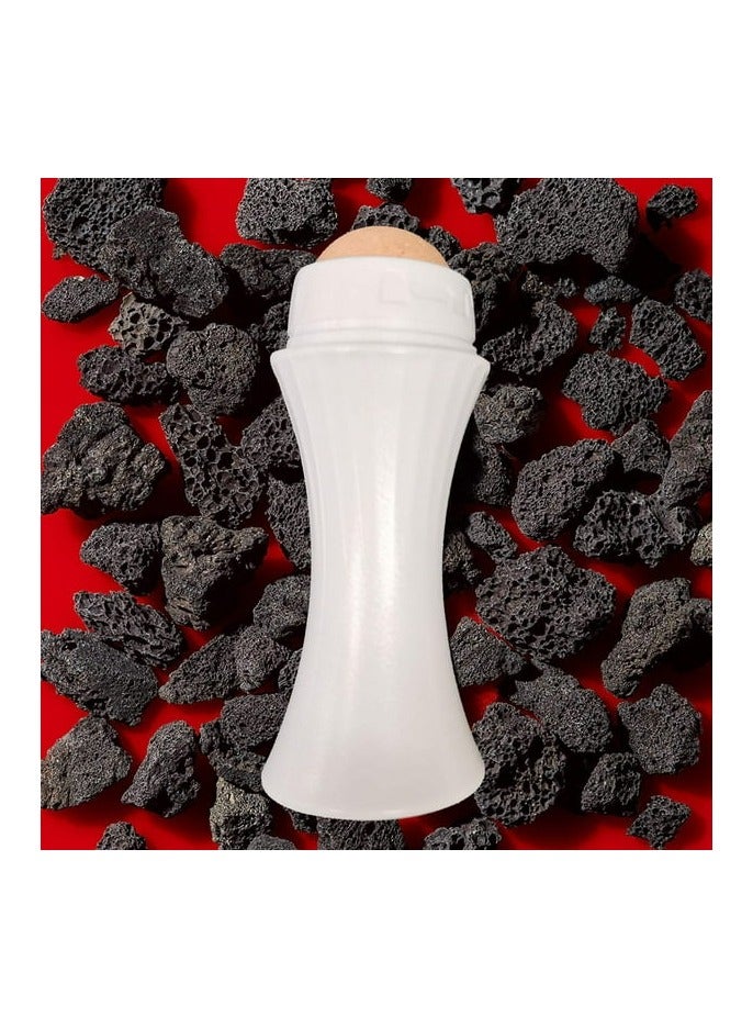 Oil-Absorbing Face Roller Oily Skin Control Roller Reusable Face Roller Skin Care - Image 5