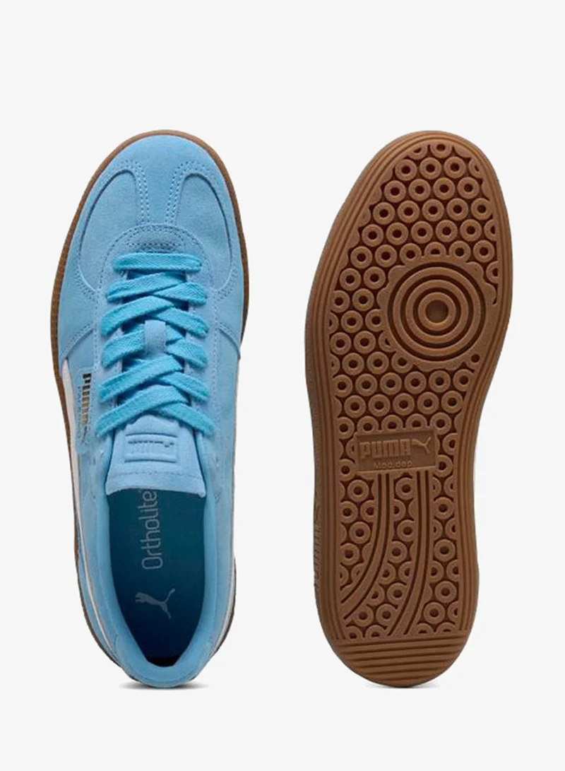 بوما باليرمو