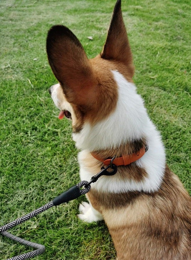 Heavy Duty Rope Dog Leash, 3/4/5/6/7/8/10/12/15 FT Nylon Pet Leash, Soft Padded Handle Thick Lead Leash for Large Medium Dogs Small Puppy (Black, 10ft)