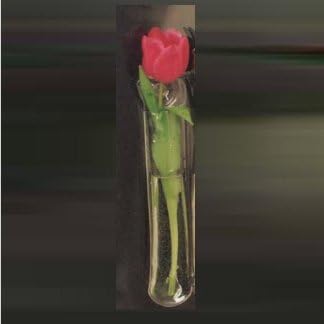 Gadjit Vinyl Window Vases Single Blossom Style  Vases Suctions to Windows and Mirrors Holds Flower Stem and Water Clear Flexible Vinyl - Image 3