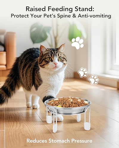 PapiCola Elevated cat Bowl 63 Wide Raised Stainless Steel Cat Food and Water Dishes Small Dog Bowl Whisker Friendly AntiVomiting Neck StressFree NonSlip Stainless Steel Stand with 4 Legs 4Pack - Image 3