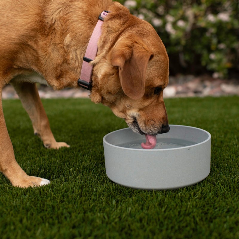 Loving Pets - Dolce Bamboo - Eco-Friendly Pet Bowls & Dishes for Dog, Cats, Puppy Food and Water Dish -Sustainable and Dishwasher Safe, Made with Real Bamboo (Small, Slate-Grey) - Image 2