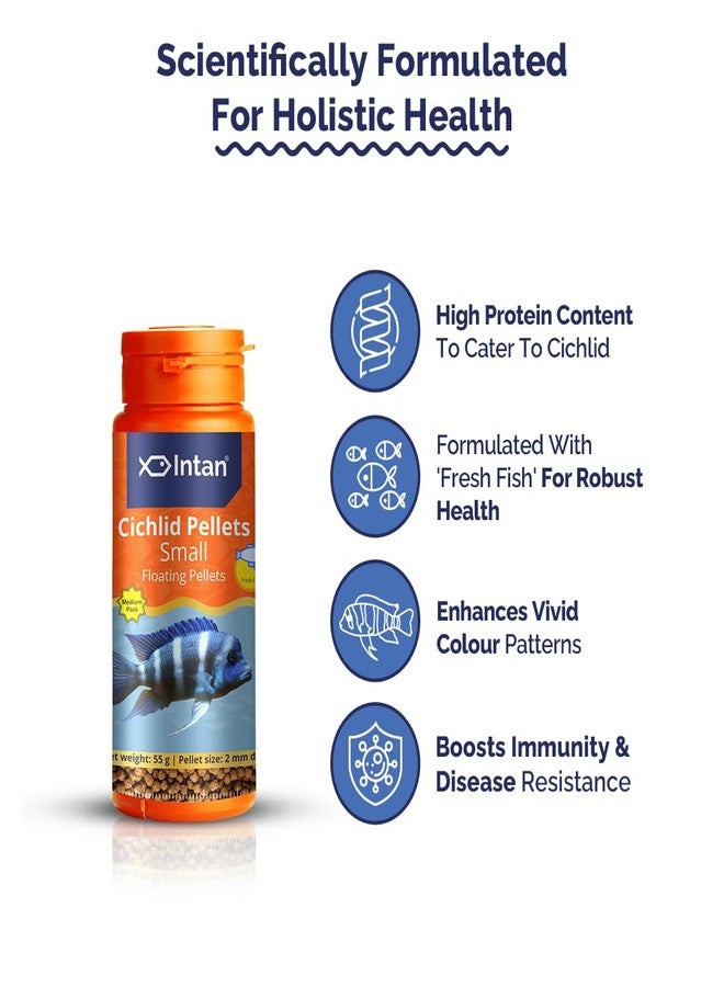 Intan Cichlid Pellets (Small 2mm Floating) | 55gm - Highly Nutritious Ornamental Fish Food for All Varieties of Small & Big Cichlids | Growel Feeds - Image 4