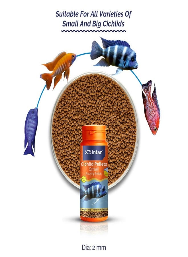 Intan Cichlid Pellets (Small 2mm Floating) | 55gm - Highly Nutritious Ornamental Fish Food for All Varieties of Small & Big Cichlids | Growel Feeds - Image 2