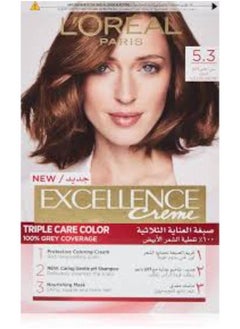 loreal paris LOREAL EXCELLENCE CREAM (5.3) 