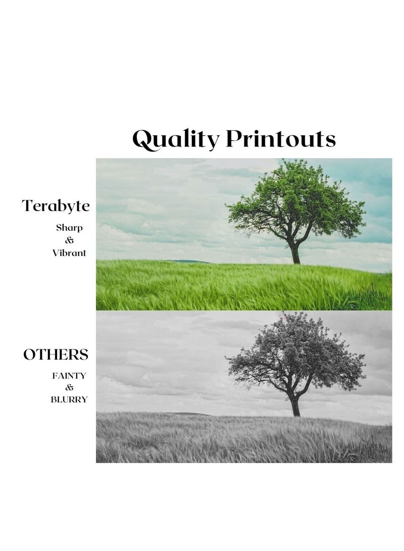 Terabyte MLT208S SAMSUNG COMPATIBLE TONER TERABYTE - Image 4