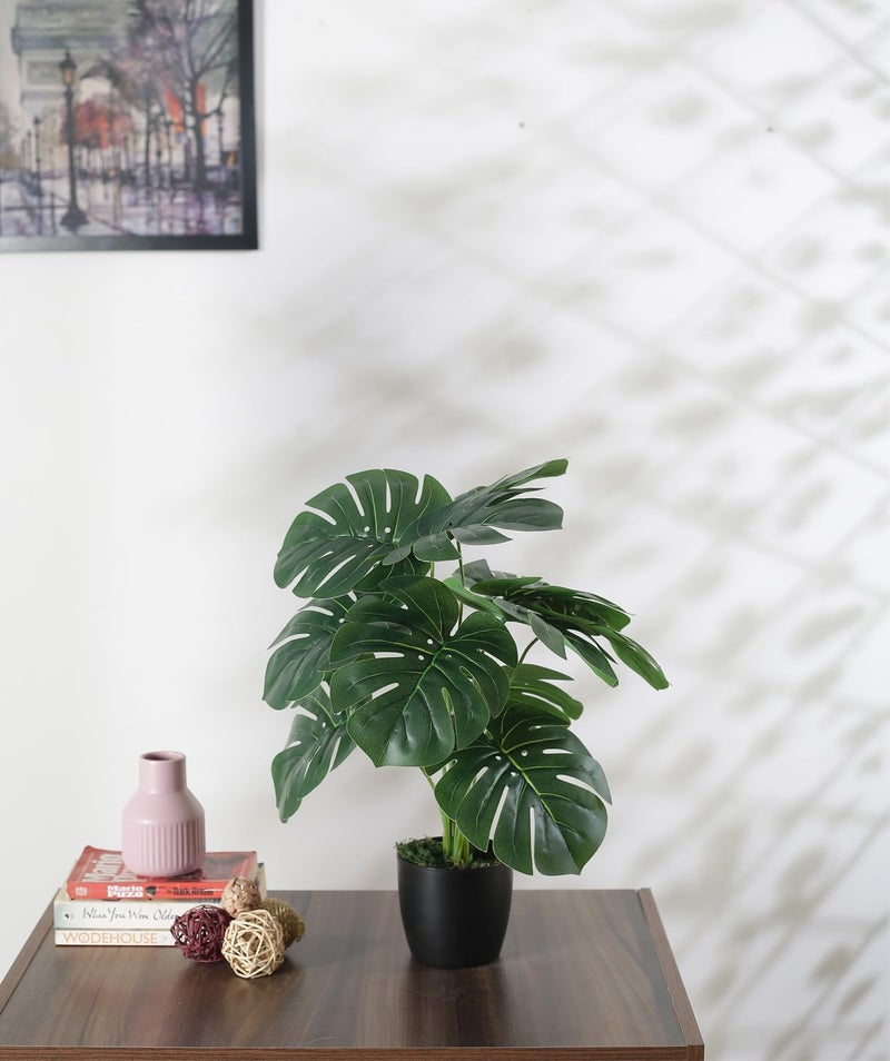 Home Bloom Beautiful Artificial PVC Monsters Silk Plant with Big Leaves and with Pot for Home and Office Dcor 12 Head Branch Multicolor 55 cm Tall