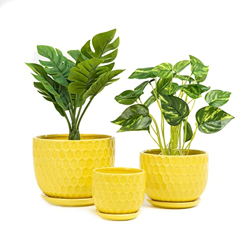 Nattol Ceramic Flower Pots, Ceramic Planters with Drainage Hole and Saucer, Modern Round Ceramic Succulent Plant Pots with Stripe Texture, Small to Medium Sized, Set of 3, Navy Blue - Image 1