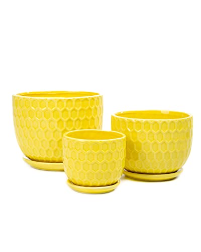 Nattol Ceramic Flower Pots, Ceramic Planters with Drainage Hole and Saucer, Modern Round Ceramic Succulent Plant Pots with Stripe Texture, Small to Medium Sized, Set of 3, Navy Blue - Image 4