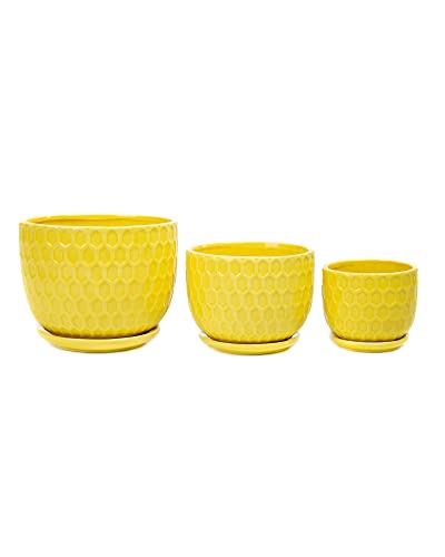 Nattol Ceramic Flower Pots, Ceramic Planters with Drainage Hole and Saucer, Modern Round Ceramic Succulent Plant Pots with Stripe Texture, Small to Medium Sized, Set of 3, Navy Blue - Image 5