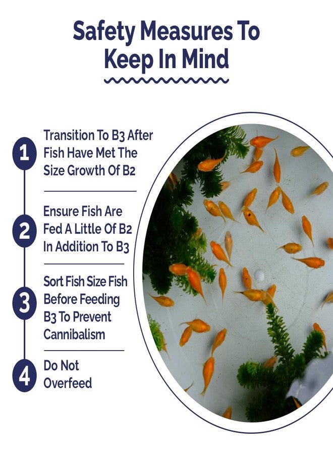 Intan Breeder & Grower Food - B3 (0.4-0.6mm Slow Sinking Crumble) | 1Kg - Highly Nutritious Ornamental Fish Food for A Range of Feed from Fry to Grow Out Stage for Viviparous & Oviparous Fish - Image 5