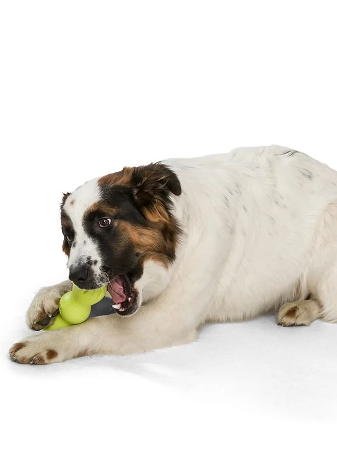 West Paw Rumpus Chew Dog Playing Toy Green Small - Image 2