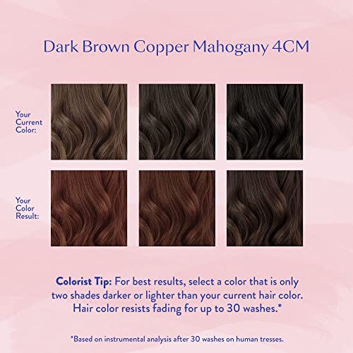 eSalon Permanent Hair Color & Hair Dye Kit - Dark Brown Copper Mahogany - Personal Colorist for Up To 100% Gray Coverage, All Hair Types - Professional-Grade Ammonia-Free - Image 4