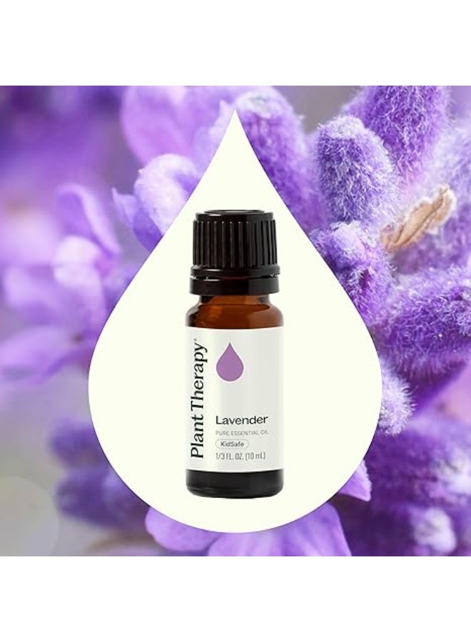 Plant Therapy Lavender Essential Oil 100% Pure, Undiluted, Therapeutic Grade, Aromatherapy Diffuser for Relaxation and Body Care, Healthy Skin and Hair, 10 mL - Image 3