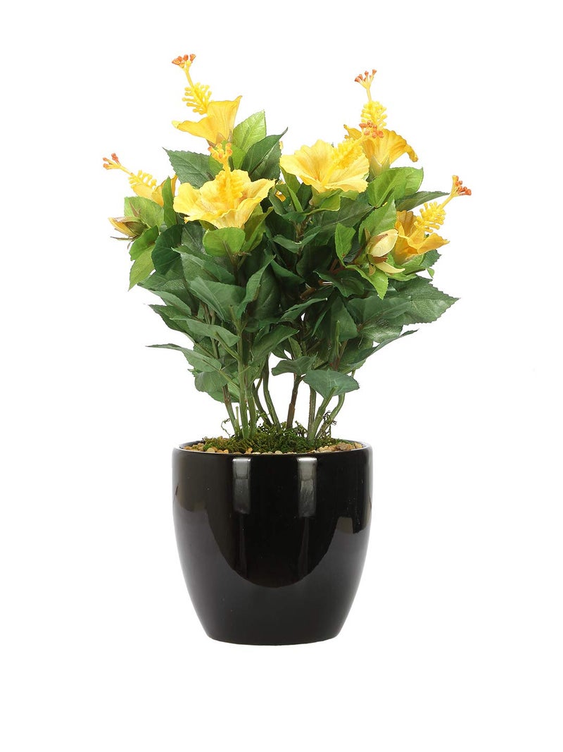 Fourwalls Artificial Hibiscus Flower Bonsai Plant in a Ceramic Vase for Home and Office Decor 31 cm Tall Yellow - Image 2