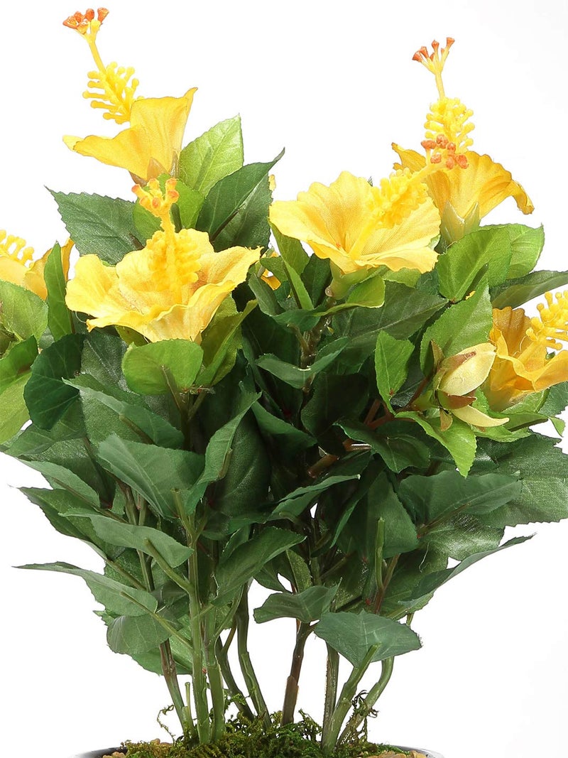 Fourwalls Artificial Hibiscus Flower Bonsai Plant in a Ceramic Vase for Home and Office Decor 31 cm Tall Yellow - Image 3