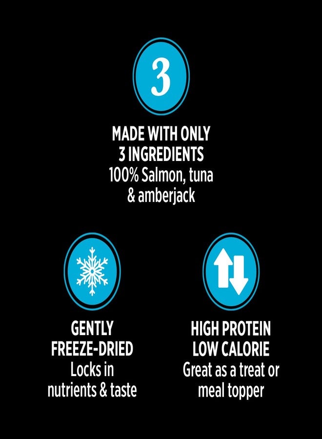 Nutrience All Life Stages Grain-Free Subzero Freeze-Dried Dog Treats,100% Pure Protein, Flavor: Salmon,Tuna & Amberjack, 70Gm Bag - Image 2