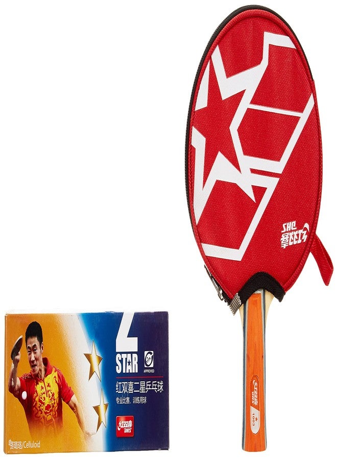 DHS TT BAT A1003 DHS with TT Ball DHS 40MM 2 Star Orange (100 Pcs Box) - Image 1