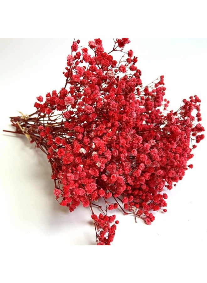 LATIFA Preserved Baby's Breath Flowers, 3 Bunches, 100% Natural Long Lasting Gypsophila for Decor - Red - Image 1