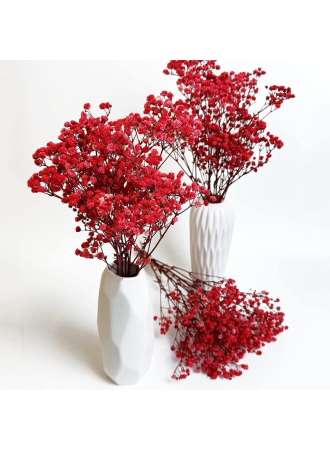 LATIFA Preserved Baby's Breath Flowers, 3 Bunches, 100% Natural Long Lasting Gypsophila for Decor - Red - Image 3