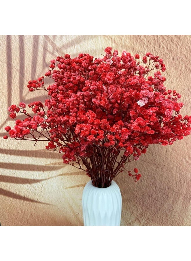 LATIFA Preserved Baby's Breath Flowers, 3 Bunches, 100% Natural Long Lasting Gypsophila for Decor - Red - Image 2
