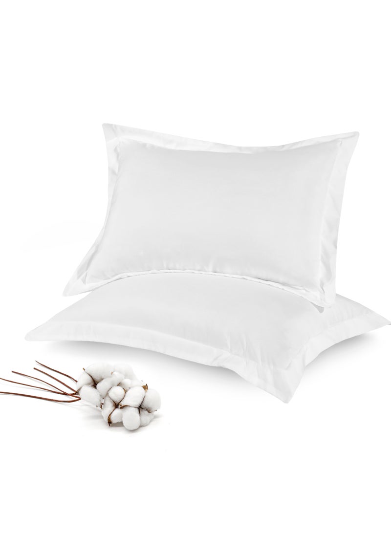 القيلولة زين أغطية وسائد منزلية قياسية من القطن المصري الخالص من سيستا زين، مقاس 50×75 سم، فائقة النعومة، 800 خيط، قطن ساتان فاخر 100% طويل التيلة، غطاء وسادة أكسفورد مكون من قطعتين مع حاشية 5 سم (نمط ربة المنزل) - Image 1