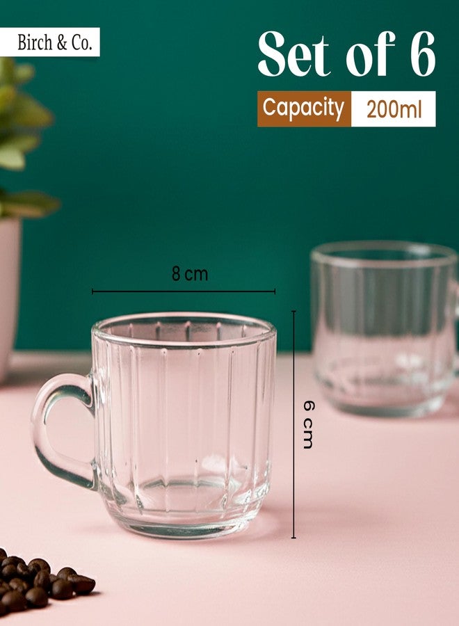 Birch & Co. Cup Set of 6 for Tea - Tea Cups Set, 200 ml Each Cup, Stylish Ribbed Design for Tea, Coffee & Cappuccino for Daily use, Ideal for Home, Office, Café & Gifting,Verona Ribs - Image 2