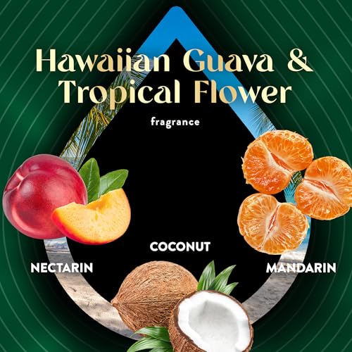 Air Wick Scented Oils 0+5 Hawaiian Guava & Tropical Flower (old Nectarine & Paradise Flower) - Image 4