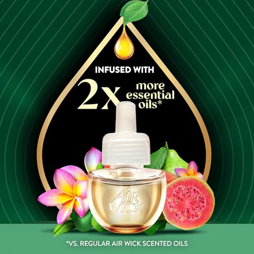 Air Wick Scented Oils 0+5 Hawaiian Guava & Tropical Flower (old Nectarine & Paradise Flower) - Image 3