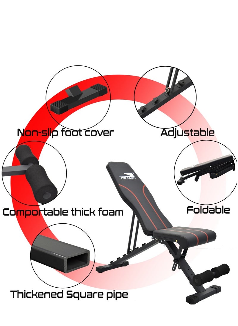Sky Land - Multi-function Foldable and Adjustable Weight Bench| Weight Bench Press For Strength Training Home Gym Workout - Image 1