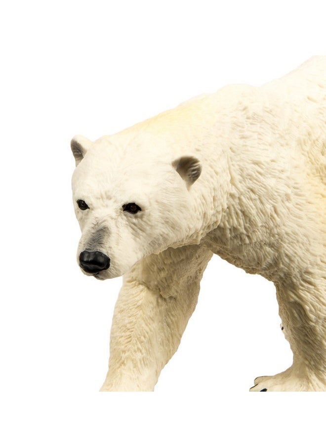 Safari Ltd. Polar Bear Figurine Detailed 4.75" Plastic Model Figure Fun Educational Play Toy For Boys Girls & Kids Ages 1+  - Image 5
