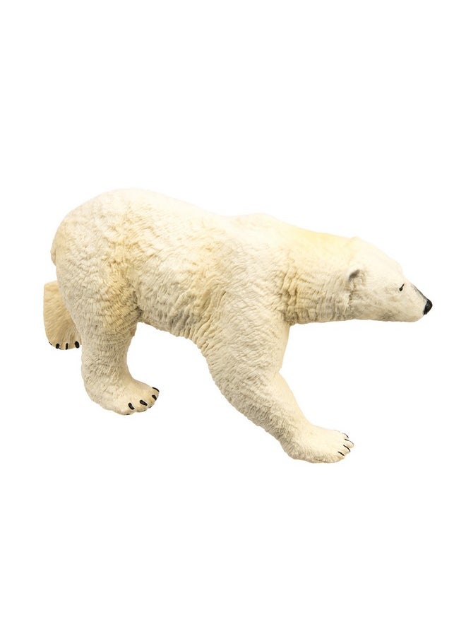 Safari Ltd. Polar Bear Figurine Detailed 4.75" Plastic Model Figure Fun Educational Play Toy For Boys Girls & Kids Ages 1+  - Image 3