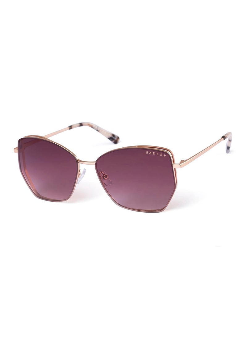 Radley نظارات شمسية نسائية كبيرة الحجم على شكل فراشة RDS-6500 بني 60 مم - Image 1