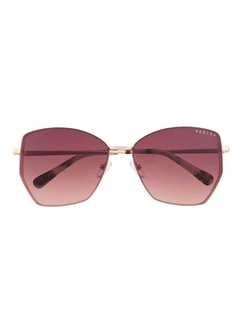 Radley نظارات شمسية نسائية كبيرة الحجم على شكل فراشة RDS-6500 بني 60 مم - Image 2