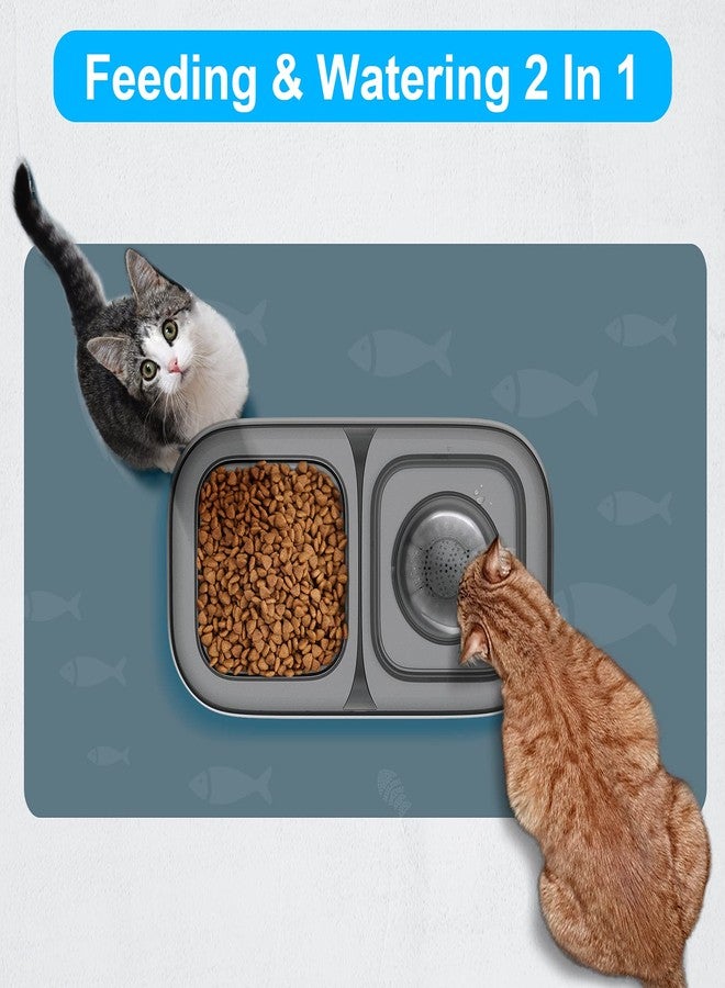 NPET Cat Bowl WB10, 2L Double Tilted Raised Cat Bowls for Food and Water Set with 2 Replacement Filters, No-Spill Feeding Drinking Dish Suitable for Indoor Cats & Small Dogs (WB10) - Image 5