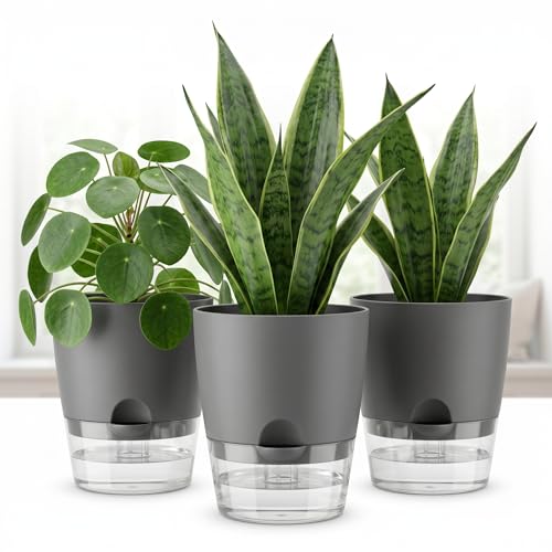 JERN Self Watering Plant Pots Set of 3, 6" Large Indoor Planters with Reservoir & Wick System, Durable Plastic Flower Pots with Drainage for Indoor Outdoor Plants, Herbs & Succulents - Image 4