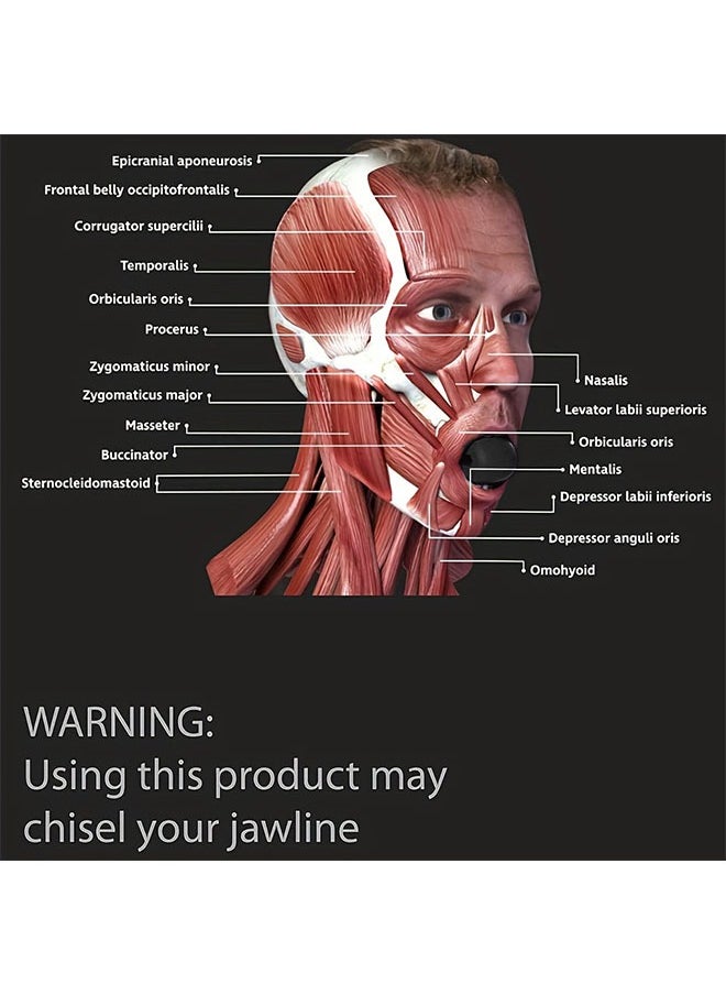 Generic Jaw Muscle Trainer For Men And Women Facial Muscle Chewer Face And Neck Jaw Exercise Ball  - Image 4