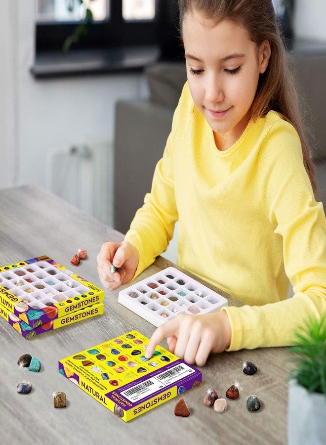 XXTOYS Rocks Collection 25PCS Rock and Mineral Education Set Gemstones for Kids Geology Gem Kit with Healing Chakra Gemstones, Tumbled Stones and More Identification Guide STEM Science Education - Image 3